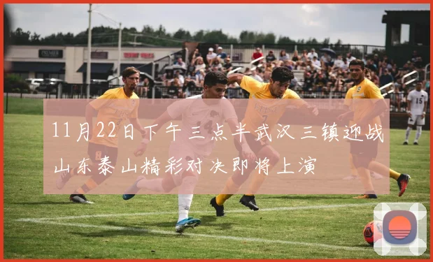 11月22日下午三点半武汉三镇迎战山东泰山精彩对决即将上演