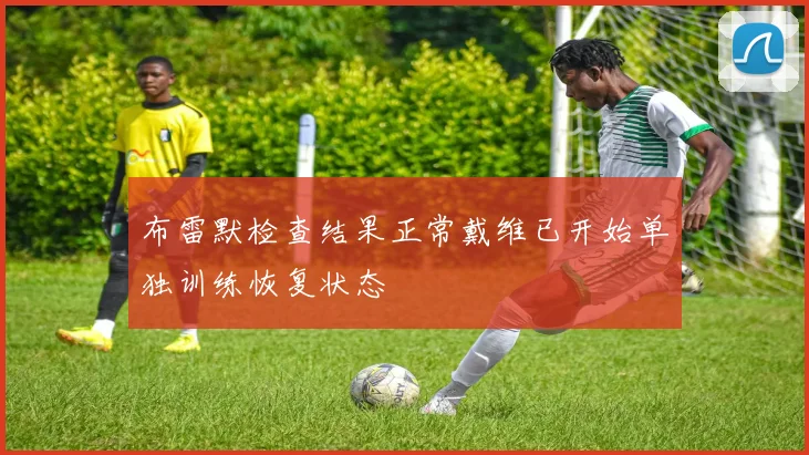 布雷默检查结果正常戴维已开始单独训练恢复状态