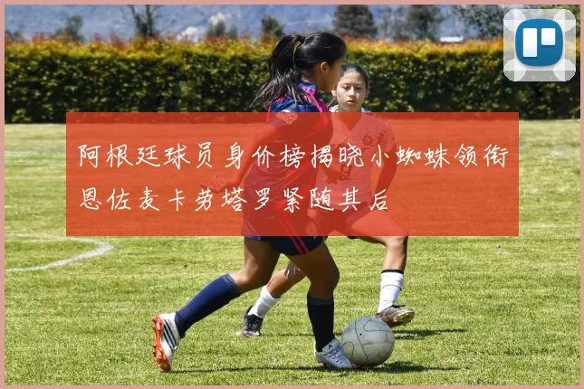 阿根廷球员身价榜揭晓小蜘蛛领衔恩佐麦卡劳塔罗紧随其后