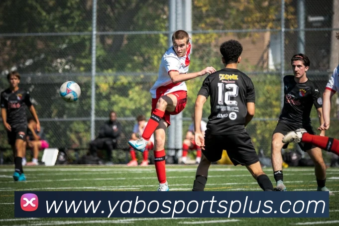 亚博体育APP 高清赛事图